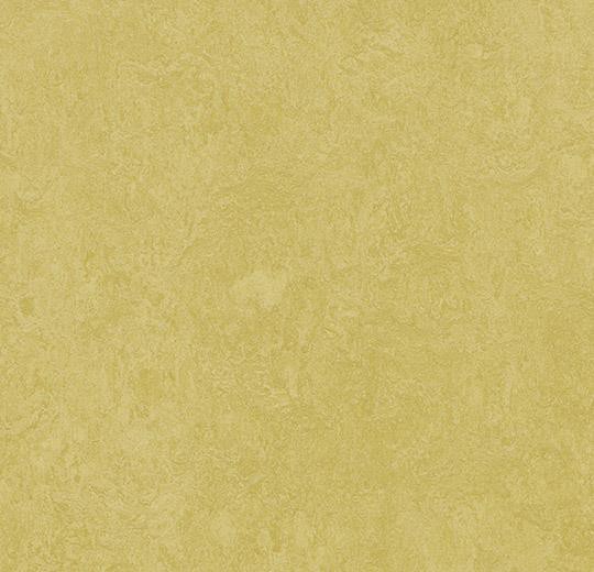 Marmoleum fresco 3259 mustard
