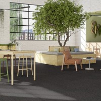 DESSO Essence Roots 9851 Ковровая плитка Дессо Эссенс Рутс