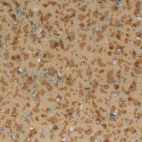 Acczent mineral AS 1000 11 антистатический коммерческий линолеум Акцент минерал бежевый