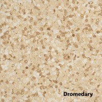Fortis Линолеум Фортис Dromedary бежевый