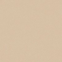 ACCZENT PRO Aspect 5 Линолеум Акцент Про Аспект бежевый
