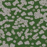 Flotex Sottsass Bacteria(бактерия) 990403