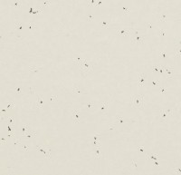 Линолеум Sphera energetic 50222 lace