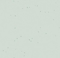 Линолеум Sphera energetic 50220 mineral