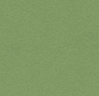 Bulletin Board 2213 baby lettuce натуральный мармолеум для стен Буллетин Борд зеленый