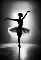 Сценический линолеум Broadway 20 1991-275 черный РАСПРОДАЖА 20 м2