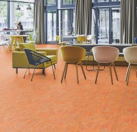 Marmoleum Vivace 3403 Asian tiger