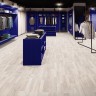 Acczent Pro Select 1 линолеум Акцент про Селект 1 дуб светлый Acczent Pro Select 1 линолеум Акцент про Селект 1 дуб светлый