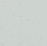 Линолеум Sphera energetic 50205 inox