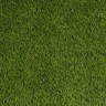 Искусственная трава Betap Quinny - 22 мм