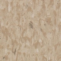 Линолеум  Tarkett GRANIT SAFE.T Granit BEIGE 0702