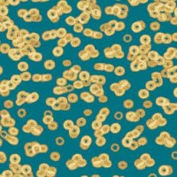 Flotex Sottsass Bacteria(бактерия) 990503