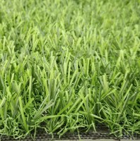 Искусственная трава IT Grass 30 мм 2 цвета