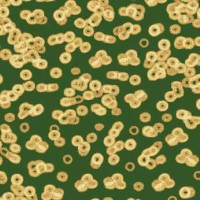 Flotex Sottsass Bacteria(бактерия) 990502