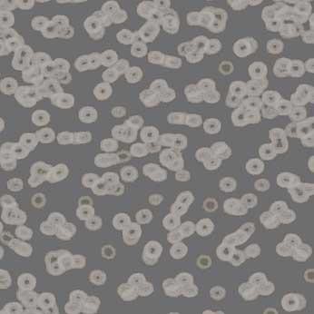 Flotex Sottsass Bacteria(бактерия) 990304