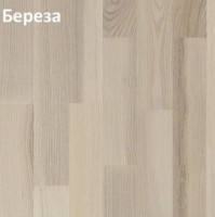 Спортивный паркет берёза