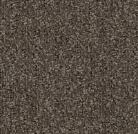 Грязезащитные дорожки и коврики Coral Classic 4764 taupe