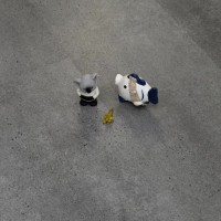 ICON FLOOR ламинат SPC Марбл XL Бетон Уорхол MLX-80 (MARBLE Concrete Warhall)