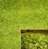Ковровая дорожка \  Лонж  24000 green