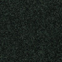 Ковровая плитка RIVA ( Рива) 790