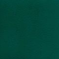 Спорт покрытие Тарафлекс Сюрфейс 6507 Forest green