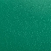 DLV Active Sports Multi AS-135 Green спортивное покрытие Актив спорт мульти зелёный