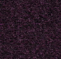 Грязезащитные дорожки и коврики Coral Brush 5739 Byzantine purple