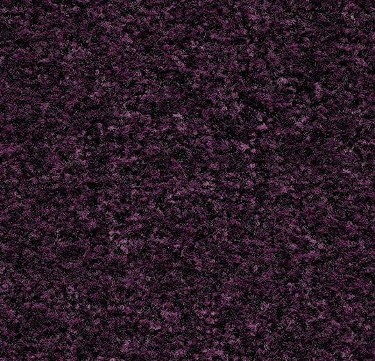 Грязезащитные дорожки и коврики Coral Brush 5739 Byzantine purple
