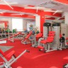 Спортивное покрытие Фитнес Спорт Эко 100