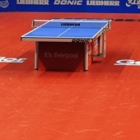 Taraflex Table Tennis Спортивное покрытие Тарафлекс Тейбл Теннис Taraflex Table Tennis Спортивное покрытие Тарафлекс Тейбл Теннис