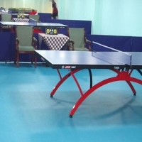Спортивный линолеум BOGER (Богер) для настольного тенниса