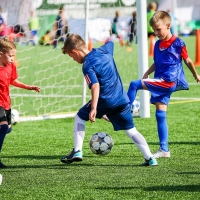 Искусственная трава для спорта