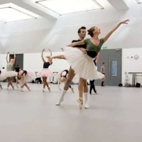 STUDIO INDI DANCE Танцевальный линолеум Студио Инди Денс STUDIO INDI DANCE Танцевальный линолеум Студио Инди Денс
