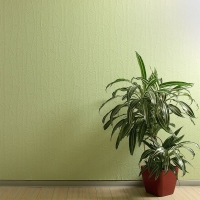 Wellton Decor Стеклообои Велтон Декор Wellton Decor Стеклообои Велтон Декор