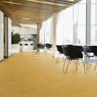 DESSO GRAIN ковровая плитка Дессо Грейн