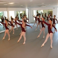 DANCE STYLE сценический линолеум Данс Стайл DANCE STYLE сценический линолеум Данс Стайл