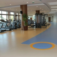 Taraflex Surface Спортивное покрытие Тарафлекс Сюрфейс Taraflex Surface Спортивное покрытие Тарафлекс Сюрфейс