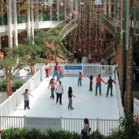 Синтетический лед ICE RINK (США)